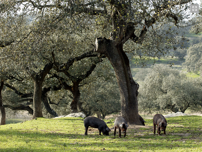 Capture d’écran 2025 12 23 143105