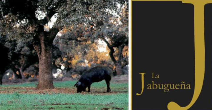 Capture d’écran 2025 12 23 143139